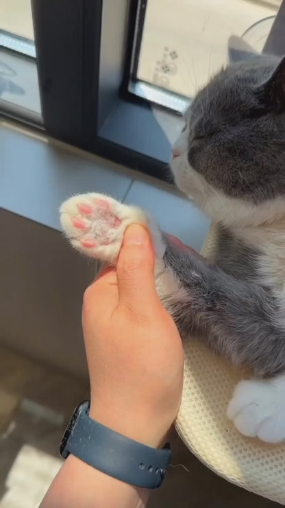 PET PAW TRIMMER 🐾